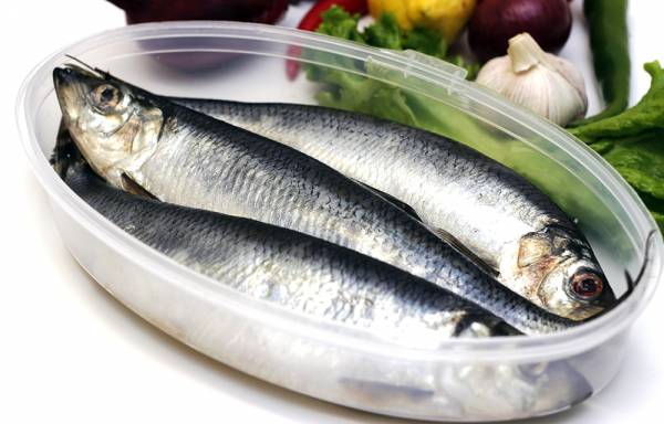 Light-salted herring
